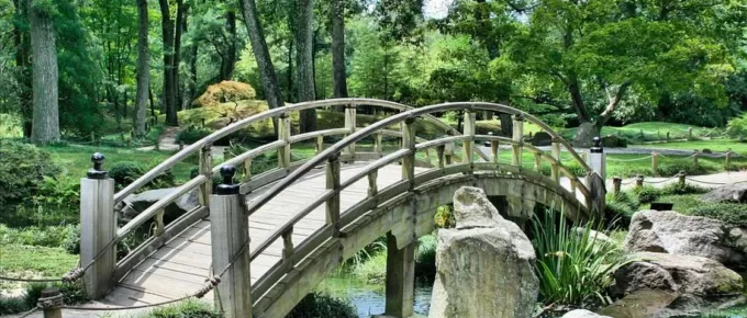 Top 7 DIY Ideas to Improve Your Garden