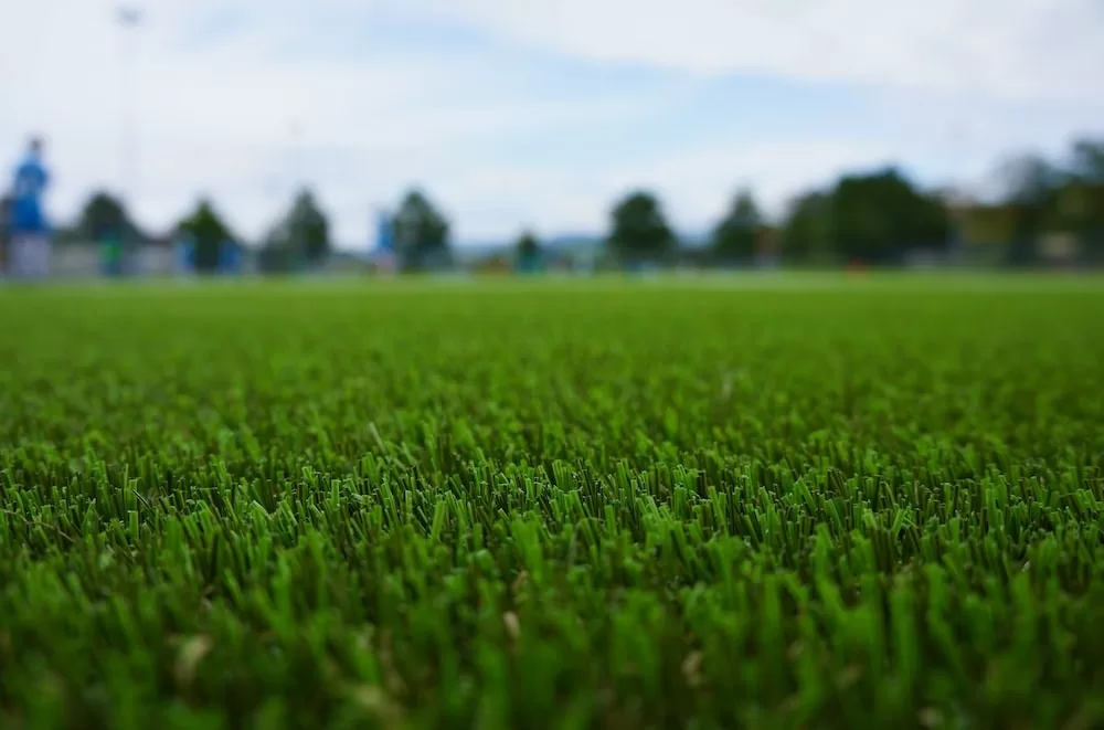 image - Artificial Turf
