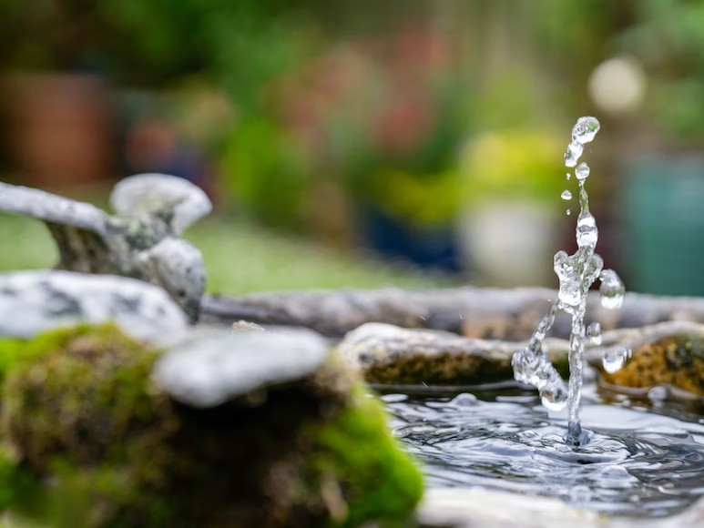 image - Create A Focal Point in Your Garden with A Water Feature or Statue