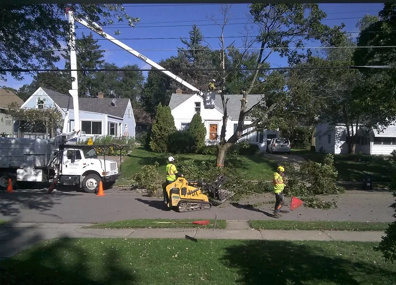 Expert Advice Common Mistakes to Avoid During Tree Removal and Landscaping image - Expert Advice Common Mistakes to Avoid During Tree Removal and Landscaping