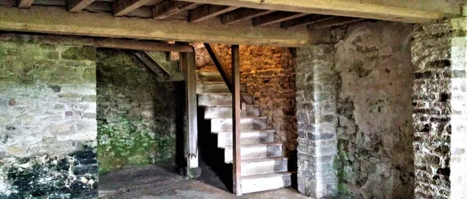 How to Get Rid of Moisture in the Basement