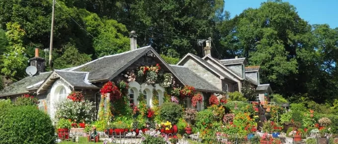 Improve Your Garden Aesthetic by Taking These Steps