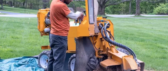 Transform Your Outdoor Space with Stump Grinding