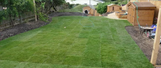 What Makes Sir Walter Turf the Popular Choice When It Comes To Buying Turf?