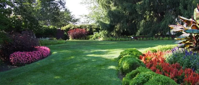 What are the Benefits of Hiring a Landscaping Yard Service?