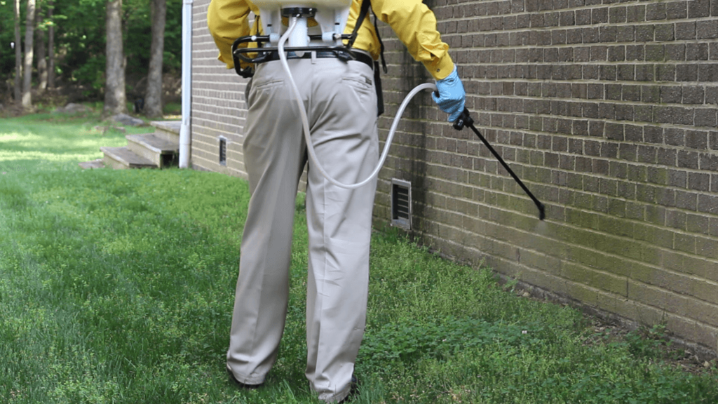 image -  When to Call a Pro Signs You Need Professional Pest Control Services