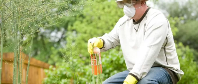 Bugs, Bees, And Beyond: DIY Pest Control Solutions for Your Home