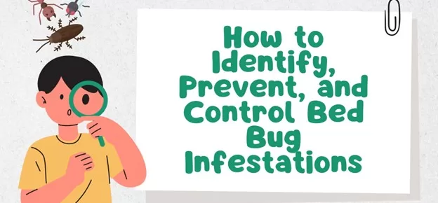 How to Identify, Prevent, and Control Bed Bug Infestations