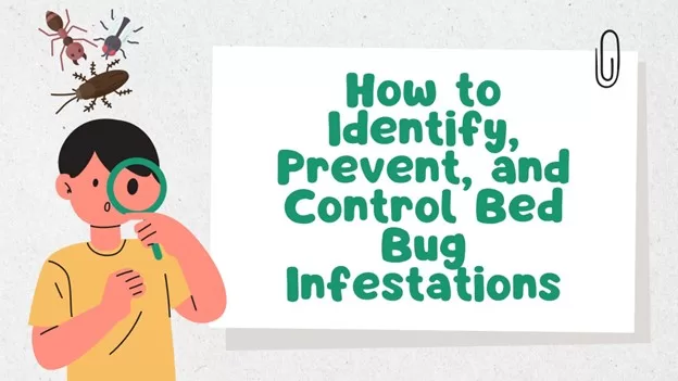 How to Identify, Prevent, and Control Bed Bug Infestations image - How to Identify, Prevent, and Control Bed Bug Infestations