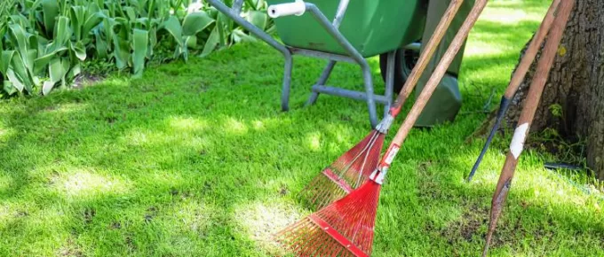 Spring Chores: Getting Your Yard Ready for the Warmer Weather