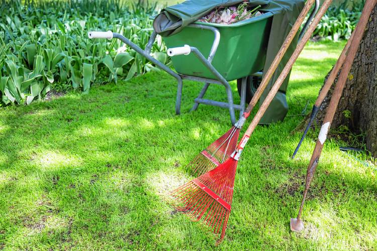 image - Spring Chores Getting Your Yard Ready for the Warmer Weather