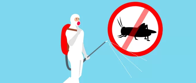 When Pests Strike at Night: Maryland’s 24/7 Emergency Pest Control Services