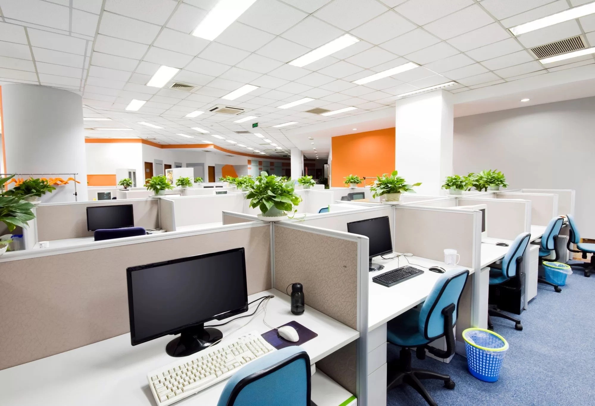 image - 5 Ways to Energize Your Office Space