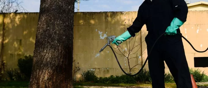 The Importance of Pest Control: Protecting Your Home and Health