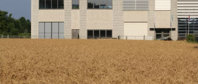The Reasons Why an Industrial Shed Makes Perfect Business Sense