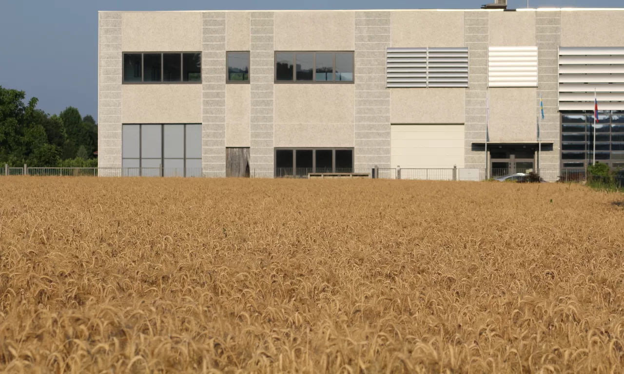 The Reasons Why an Industrial Shed Makes Perfect Business Sense image - The Reasons Why an Industrial Shed Makes Perfect Business Sense