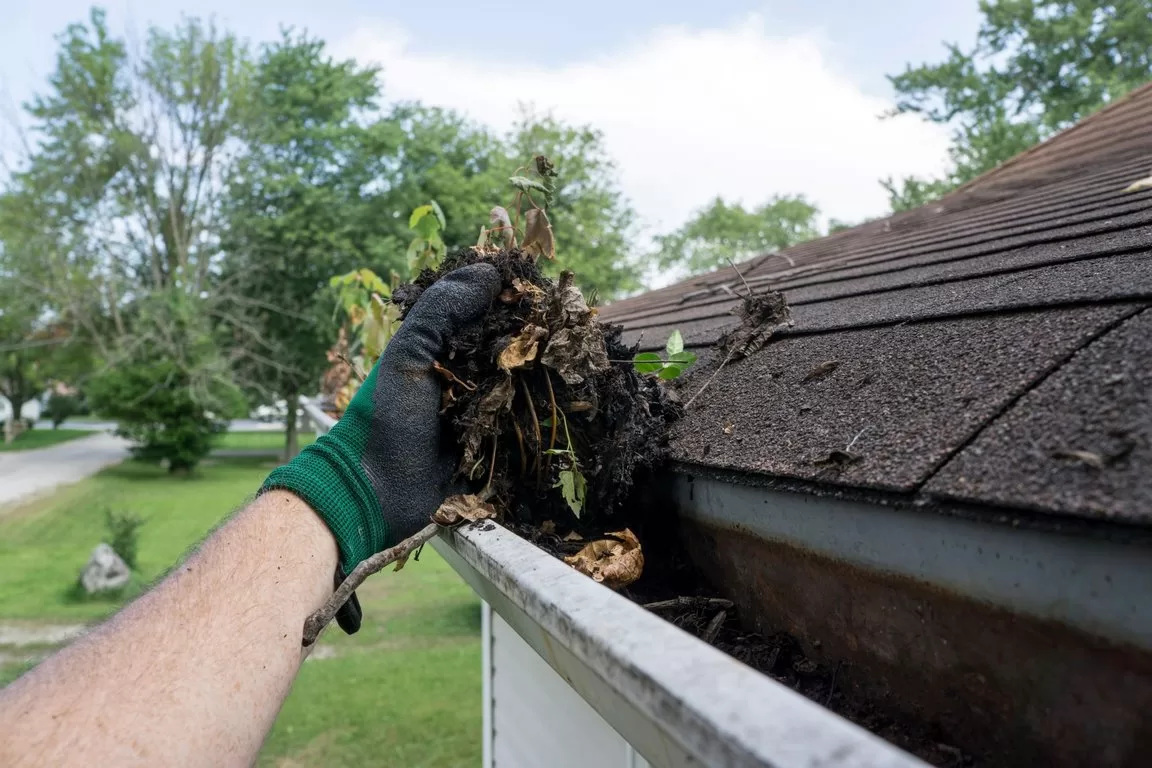 Clean The Gutters image - Clean The Gutters