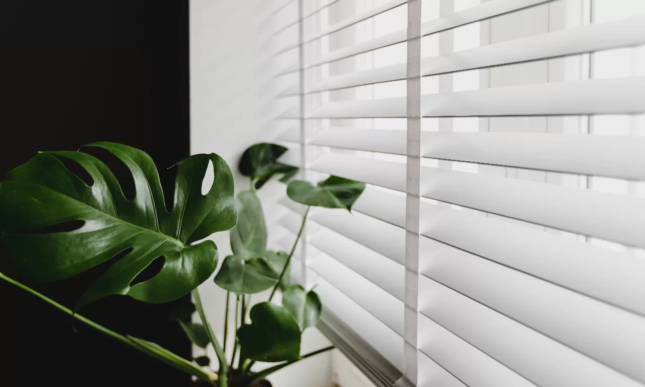 Choosing the Right Timber Venetian Blinds for Your Melbourne Home image - Choosing the Right Timber Venetian Blinds for Your Melbourne Home