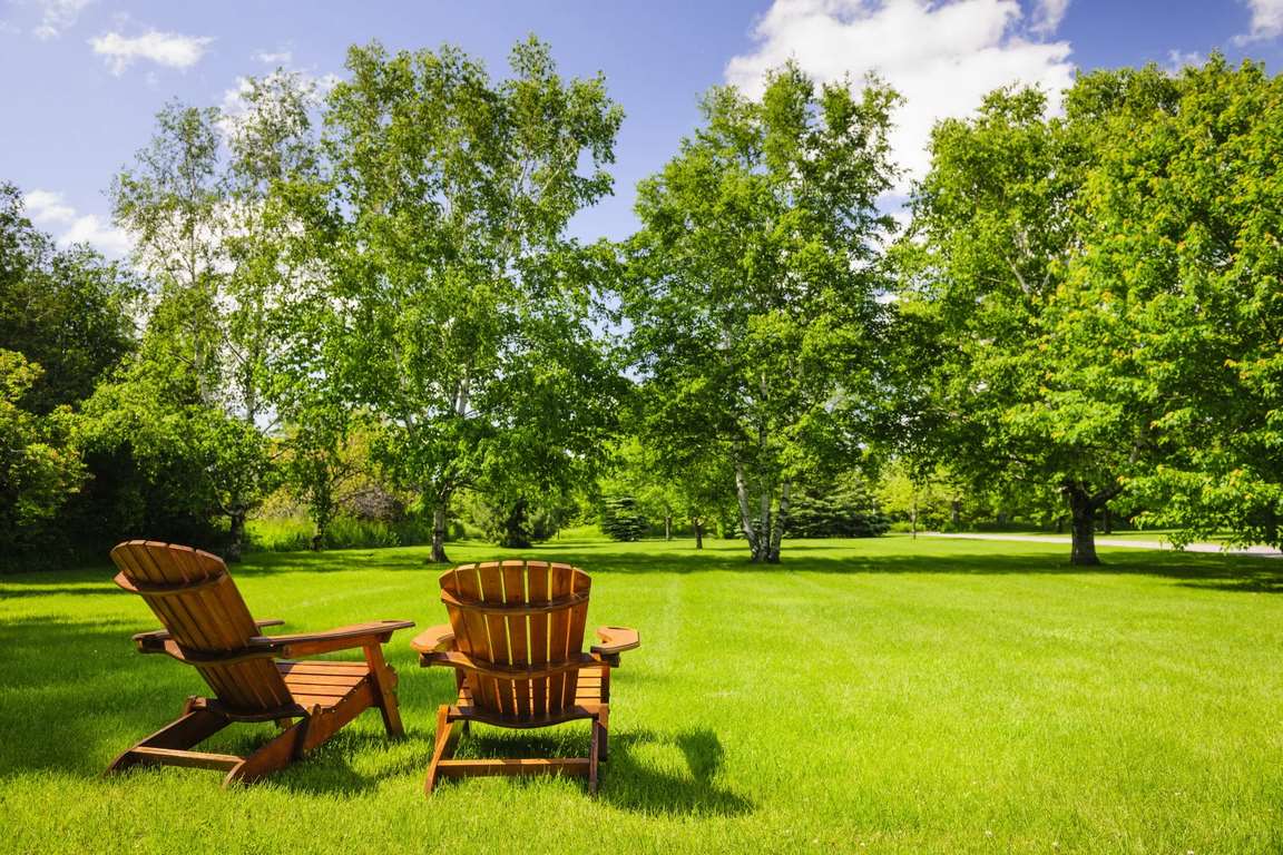 How Much Does Professional Landscaping and Tree Removal Cost image - How Much Does Professional Landscaping and Tree Removal Cost