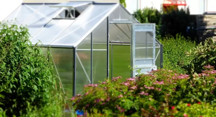 Here’s Why You Should Build a Greenhouse in Your Garden