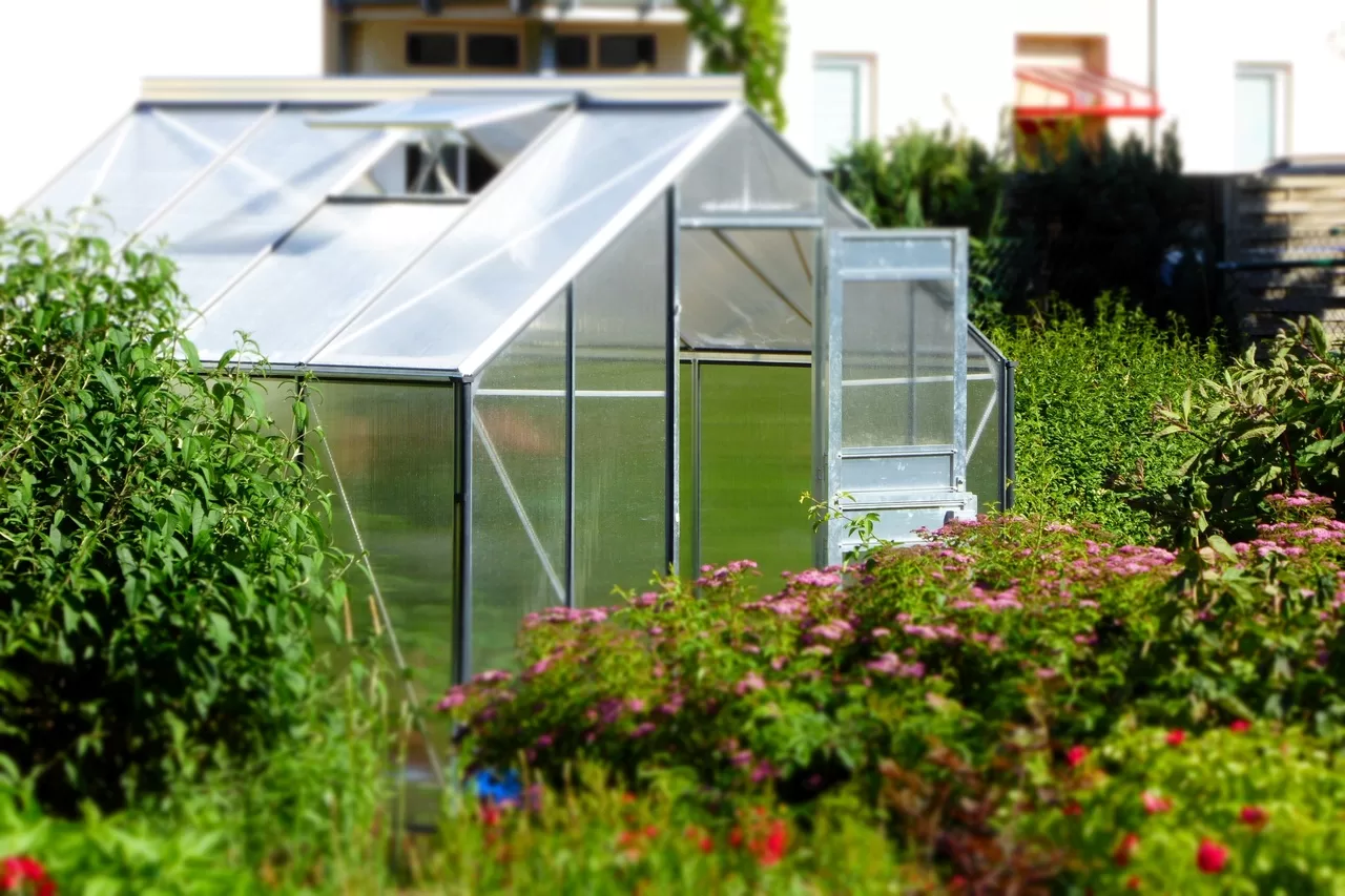 Here's Why You Should Build a Greenhouse in Your Garden image - Here's Why You Should Build a Greenhouse in Your Garden