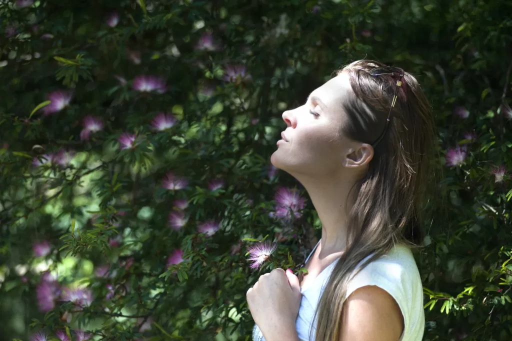 image - Fresh Air: The Ultimate Guide to Breathing Clean and Healthy