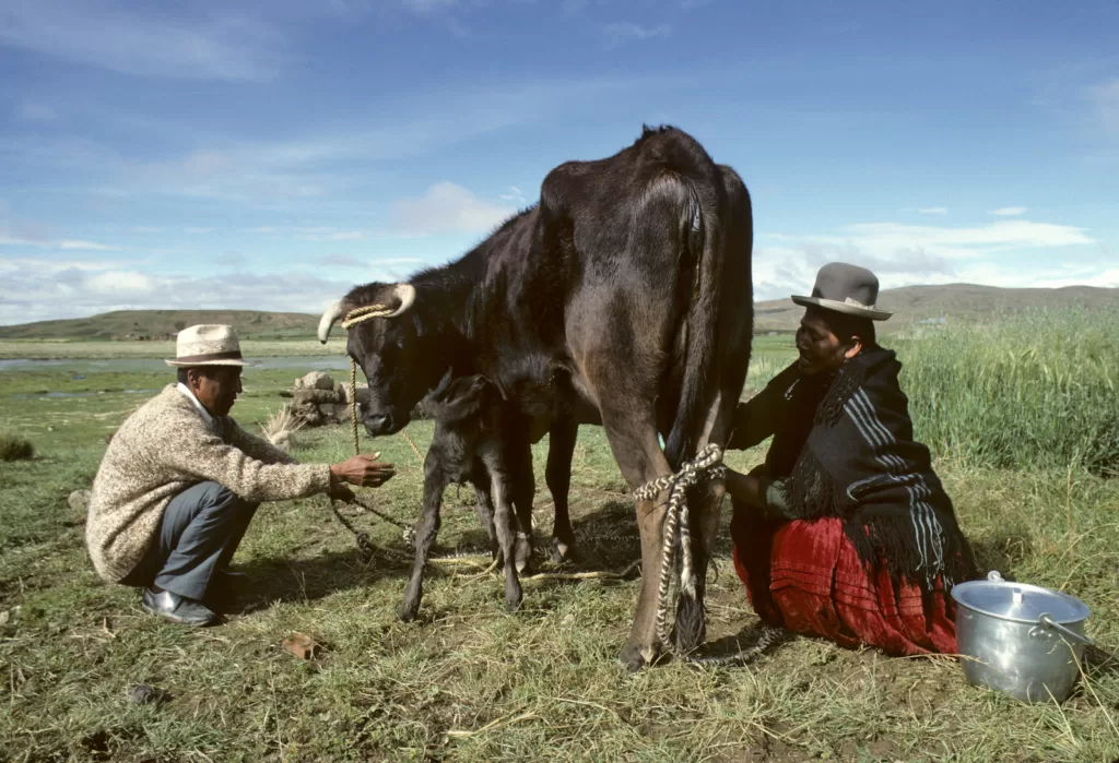 Subsistence Farming in Bolivia