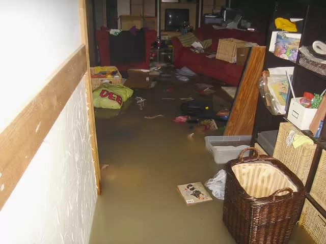 What's Causing Your Basement to Flood and What You Can Do image - What's Causing Your Basement to Flood and What You Can Do