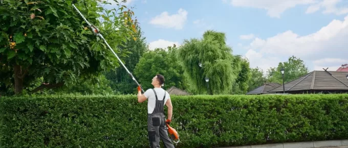 Why Spring is the Best Time to Trim and Prune Your Trees