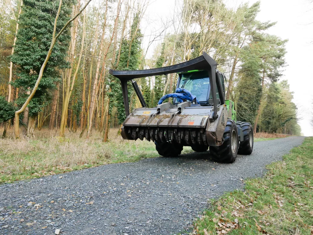 Enhancing Land Management - The Benefits of Forestry Mulching in Kissimmee image - Enhancing Land Management - The Benefits of Forestry Mulching in Kissimmee