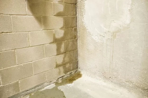 How To Find a Water Leak image - How To Find a Water Leak