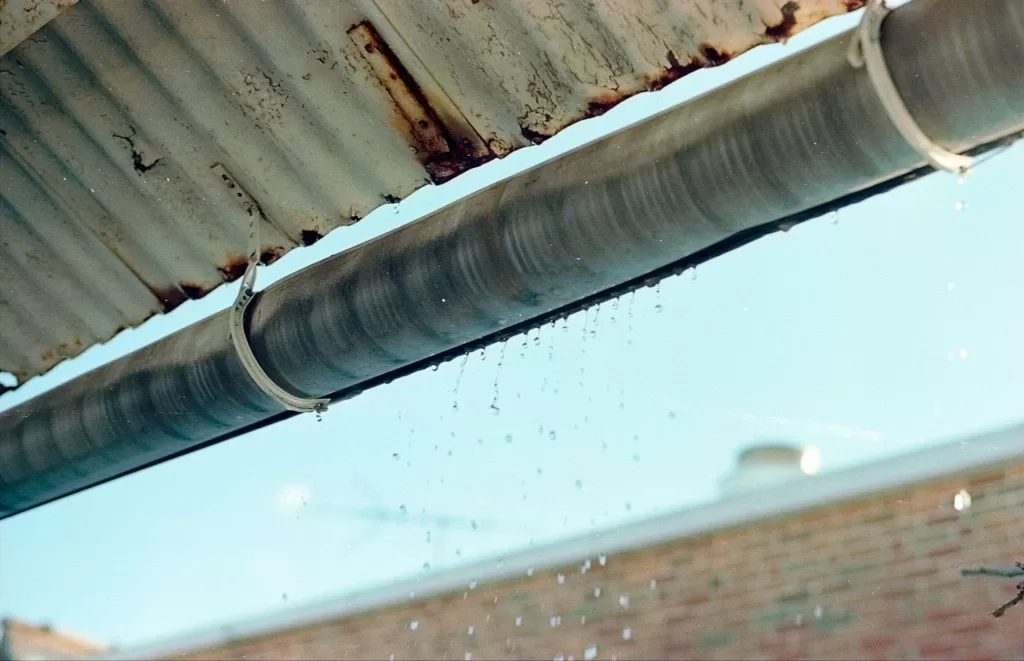 Understanding the Importance of Gutter Cleaning in Adelaide image - Understanding the Importance of Gutter Cleaning in Adelaide