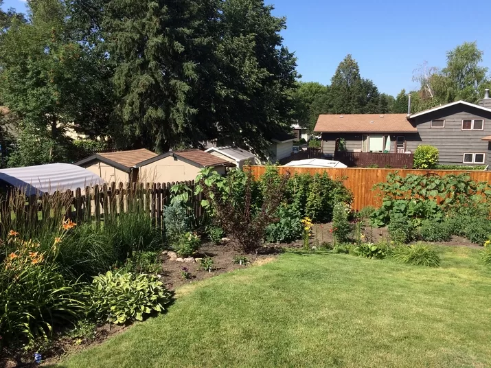 featured image - Outdoor Oasis: Transforming Your Backyard Into a Gardening Haven