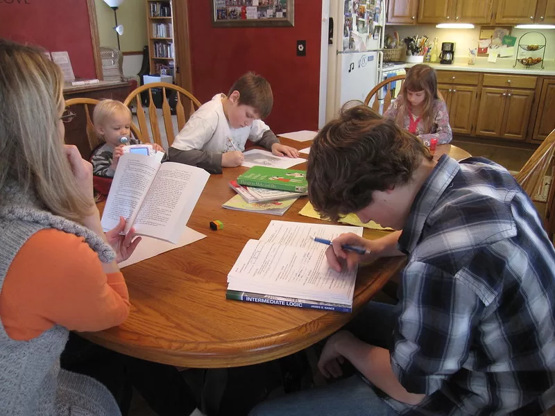Homeschooling and Distance Learning image - Homeschooling and Distance Learning