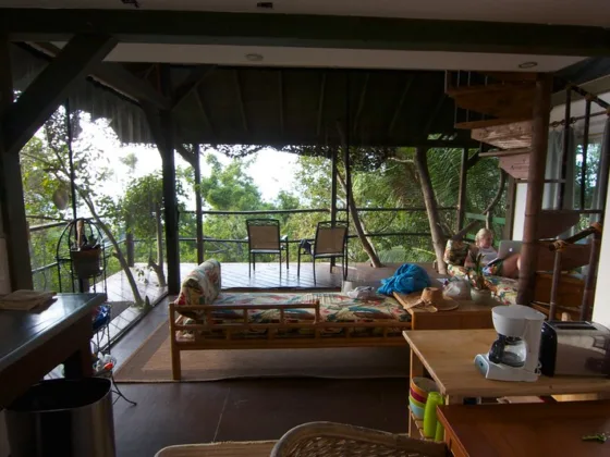 featured image - Treehouse Living for Adults A Luxurious Leap into Nature’s Embrace