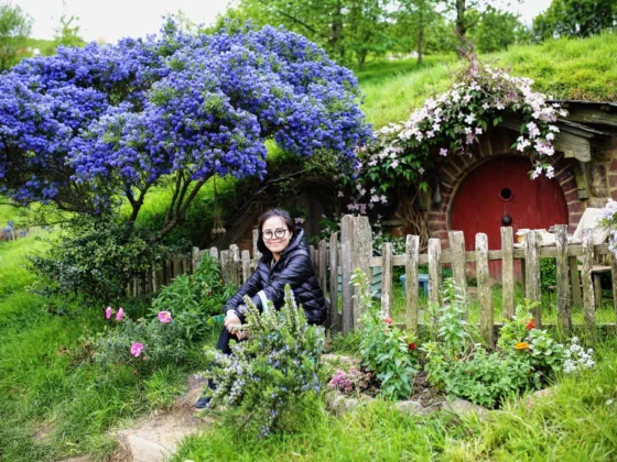 What You Need to Know About Designing a Dreamy Wildflower Garden