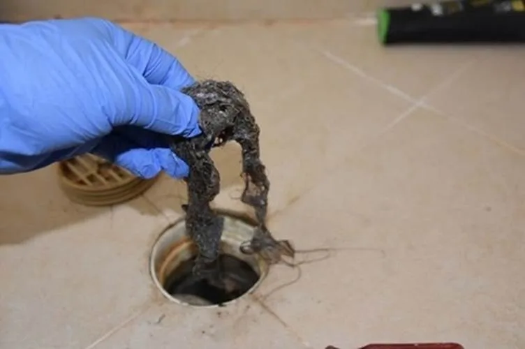 A plumber wearing blue gloves removing a clump of hair and debris from a clogged bathroom floor drain